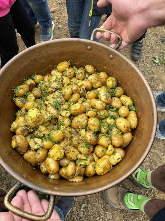Kartoffelpfanne beim Bio-Bauern